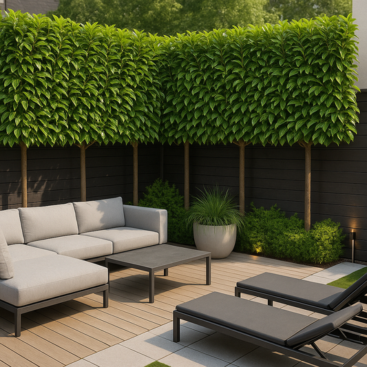 Najpiękniejsze Drzewa Ozdobne do Ogrodu - Przewodnik Eksperta 2025